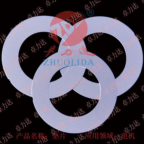 墊片腐蝕 墊片腐蝕